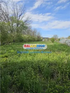 Vanzare casa 4 camere P + 1 Valea Voievozilor Razvad - foto 21