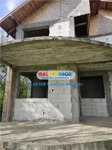 Vanzare casa 4 camere P + 1 Valea Voievozilor Razvad - foto 8