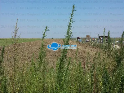 Vanzare Teren Intravilan  Herasti Giurgiu 2 HA - foto 5