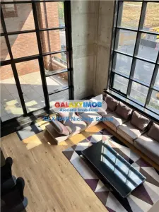 DUPLEX 4 CAMERE LUX FLOREASCA LAC - foto 5