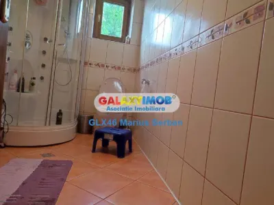 Inchiriere casa Targoviste - foto 15