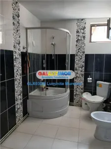 Vanzare casa P + M Valea Voievozilor - foto 14