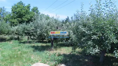 Curtesti, Botosani , Teren generos cu casa si anexa! - foto 12