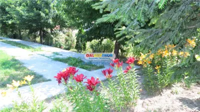 Curtesti, Botosani , Teren generos cu casa si anexa! - foto 15