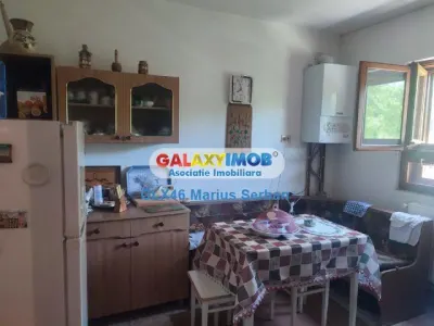 Vanzare casa de vacanta Valea Lunga Dambovita - foto 8