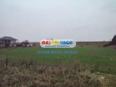 Vanzare teren Clinceni - foto 8