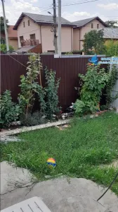Inchiriere casa parter singur curte SOSEAUA FUNDENI - foto 7