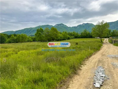 Teren Intravilan Tohanita intre Bran si Zarnesti - foto 6