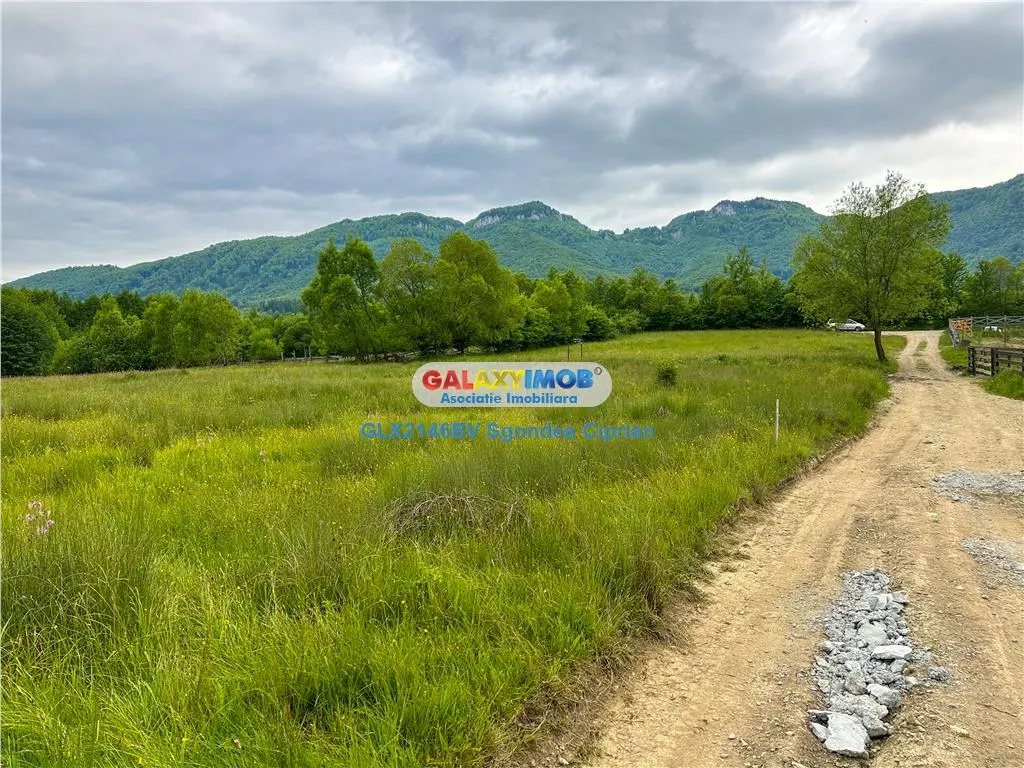 Teren Intravilan Tohanita intre Bran si Zarnesti - foto 6