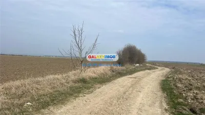 Vanzare teren 3900 mp, in Barcanesti, judet Prahova - foto 6