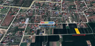 Teren Caciulati Moara Vlasiei 1500 mp pe str Garoafelor - Moara Vlasiei