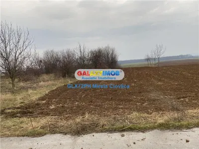 Vanzare teren industrial Baicoi - foto 2