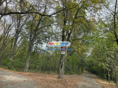 Vanzare teren 3300 mp Peris -deschidere padurea Scrovistea - foto 2