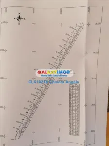 Afumati teren 10700 mp,parcelat pe loturi de 500 mp - Afumati