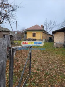 Teren intravilan 4770 mp cu casa in Lintesti , Arges - foto 2