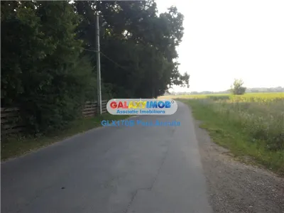 Teren Corbeanca  str Radarului 1Ha sosea Padure - foto 2