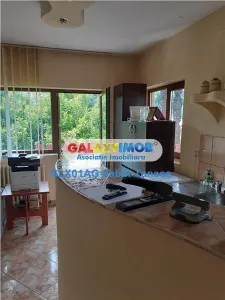de inchiriat etaj vila 200 mp si terasa ext 40 mp str Trivale - Pitesti