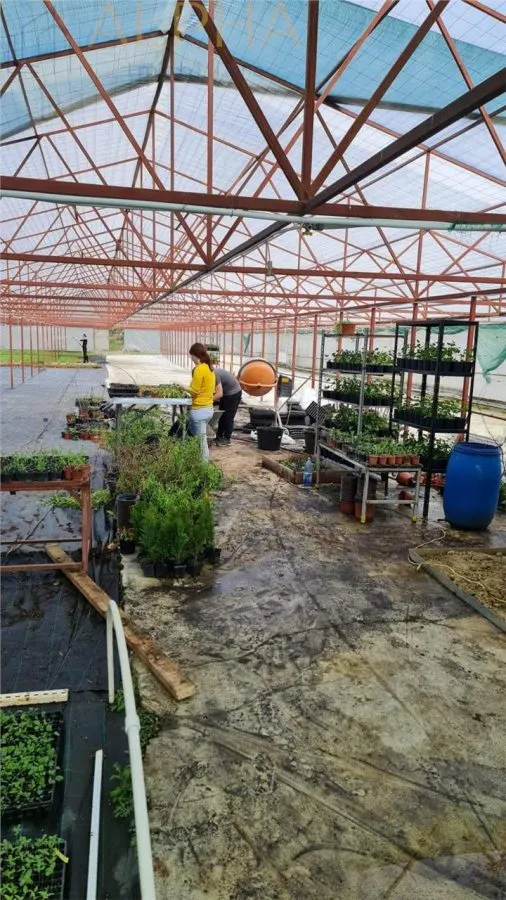 AFACERE LA CHEIE – HALA PRODUCTIE + SERA PROFESIONALA - foto 11