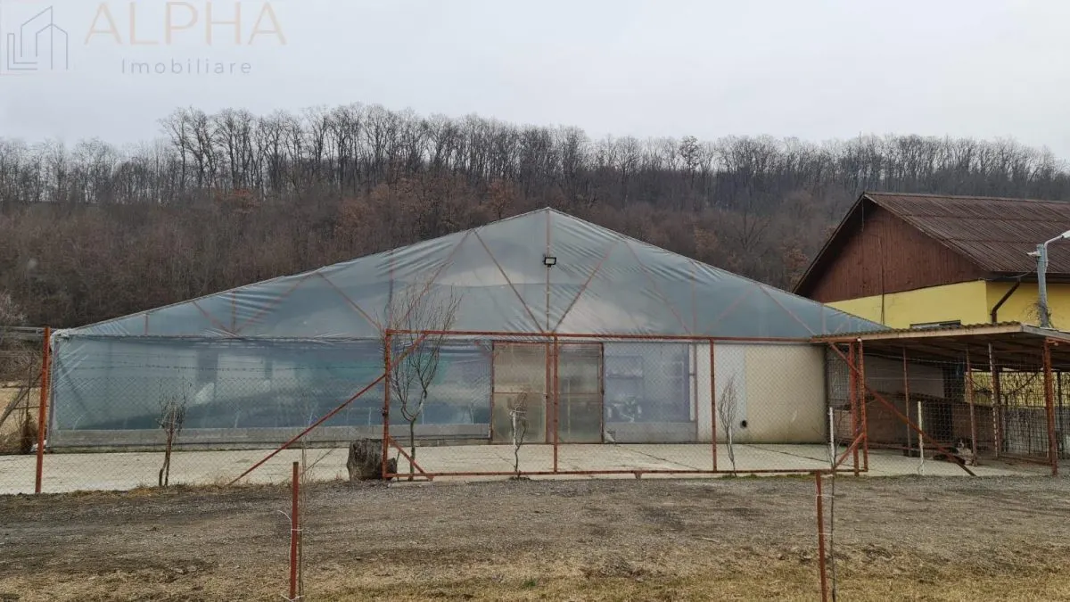 AFACERE LA CHEIE – HALA PRODUCTIE + SERA PROFESIONALA - foto 8