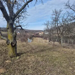 Teren  extravilan de vanzare – Bistrita, Valea Rusului - foto 4