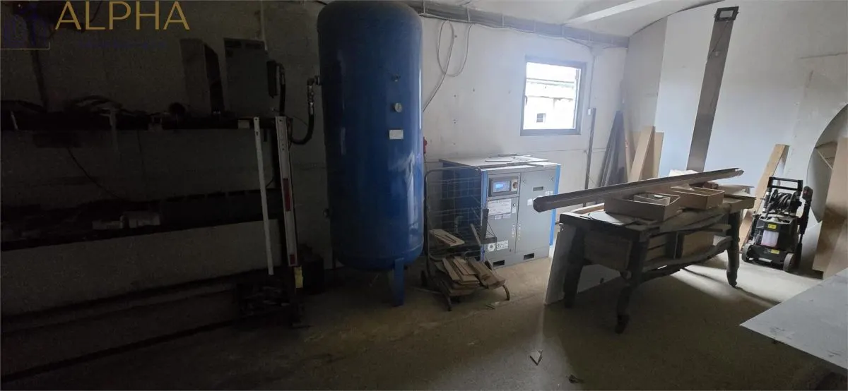 Hala industriala de vanzare sau inchiriere - Livezile, BN - foto 15