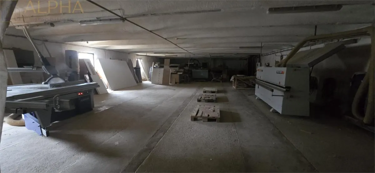 Hala industriala de vanzare sau inchiriere - Livezile, BN - foto 9