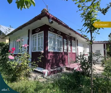 Teren intravilan - 1.248 mp + casa batraneasca 60 mp | Paun  Barnova | 60.000 € - Iasi