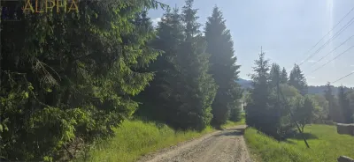 Teren intravilan de vanzare in Colibita - foto 2