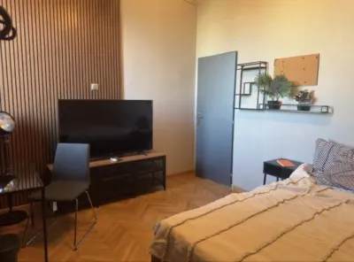 Apartament 2 camere  | IZona Ateneu | Zona Ultracentrala Sector 1 - foto 7