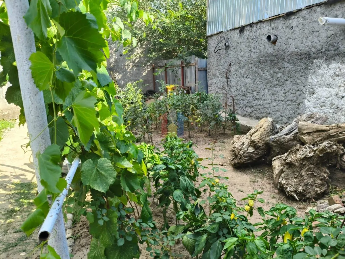 Radu Negru - Buzaului, Casa 4 cam Teren - 264 mp - foto 11