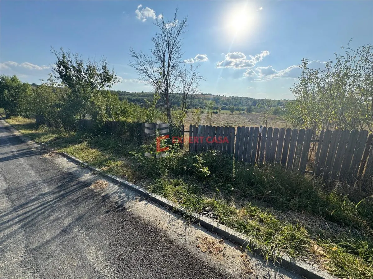teren de vanzare Todirel - foto 5