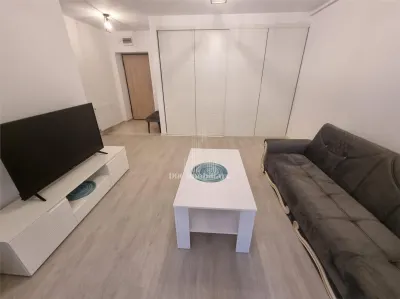 Inchiriere apartament 2 camere Hils Brauner | Titan - foto 4
