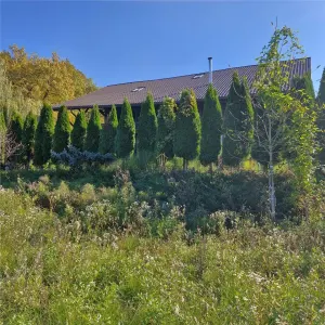 Proprietate intr-o zona verde si linistita - Faget - foto 12
