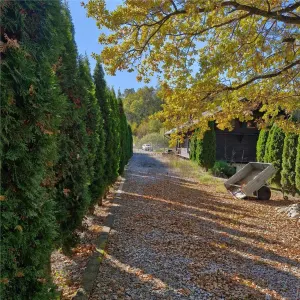 Proprietate intr-o zona verde si linistita - Faget - foto 6