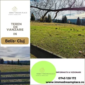 Teren de vanzare in Belis - Belis