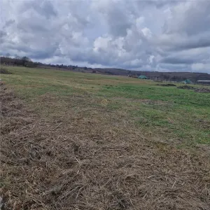 Terenuri de vanzare cu PUZ in Salistea Veche - foto 5