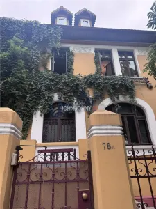 Vila deosebita Str. Vasile Lascar - foto 5
