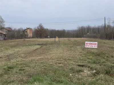 Terenuri zona Case de Vacanta  Lacul Surduc timis - foto 4