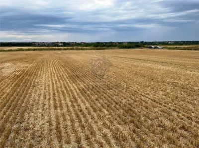 Teren intravilan 7100 mp de vanzare in Paulesti, Cocosesti – ideal pentru locuinte P+2E - foto 5