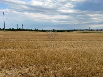 Teren intravilan 7100 mp de vanzare in Paulesti, Cocosesti – ideal pentru locuinte P+2E - foto 6