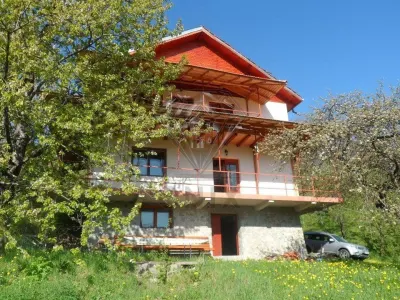 Vila deosebita cu 7 camere si 5 bai, 4290 mp teren, vedere panoramica – Valea Doftanei - foto 13