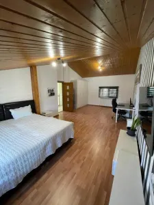 Pantelimon-Cernica, vila cu 6 camere de vanzare, 284 mp construiti - foto 3