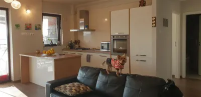 Vanzare  apartament  2 camere Ploiesti, zona Albert - foto 19