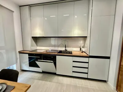 Inchiriere apartament 2 camere, prima inchiriere Paulesti - foto 20