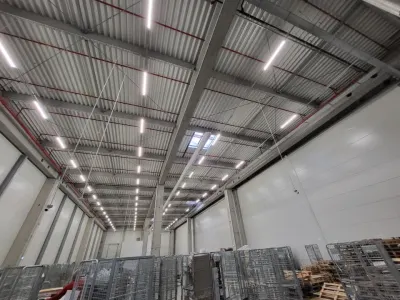 Spatii logistica - foto 4
