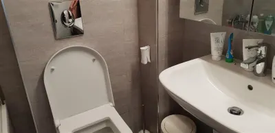 Inchiriere  apartament  2 camere Ploiesti, zona Albert - foto 6