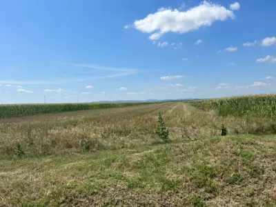 Oportunitate!Vanzare teren intravilan Baicoi,zona Infratirii, - foto 8