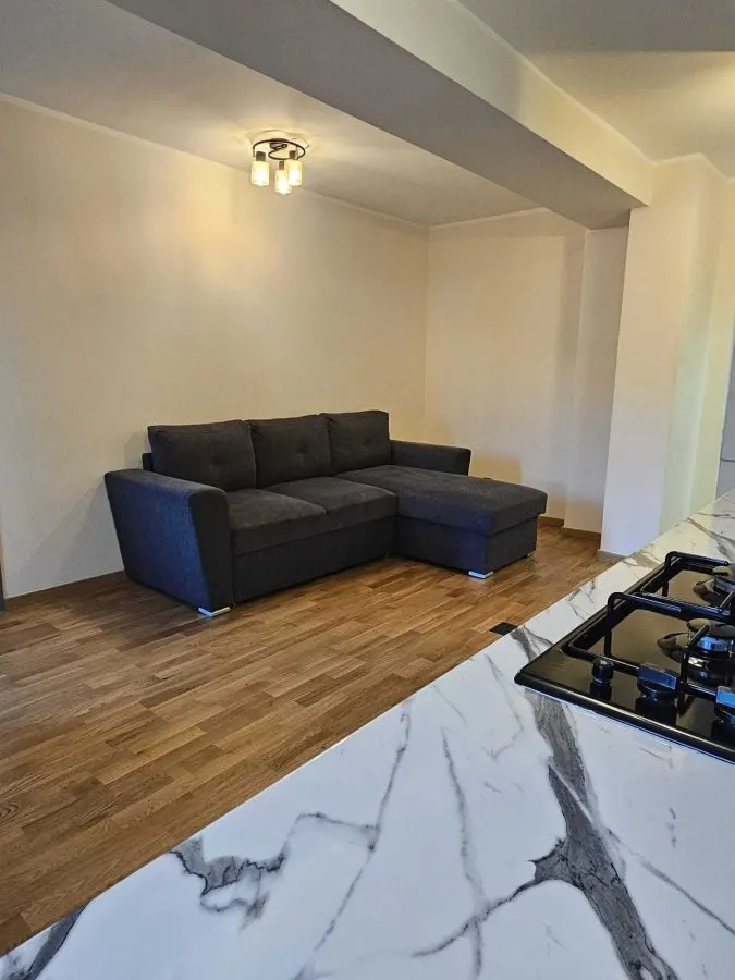 STUDIO CENTRUL NOU,RENOVAT,MOBILAT - foto 1