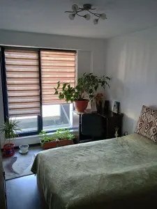 2 CAMERE  TIP STUDIO  RULMENTU , DINAMIC - foto 2