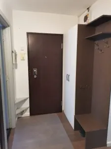 APARTAMENT 3 CAMERE SCRIITORILOR - foto 5